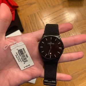 Black Skagen Titanium Mesh Watch